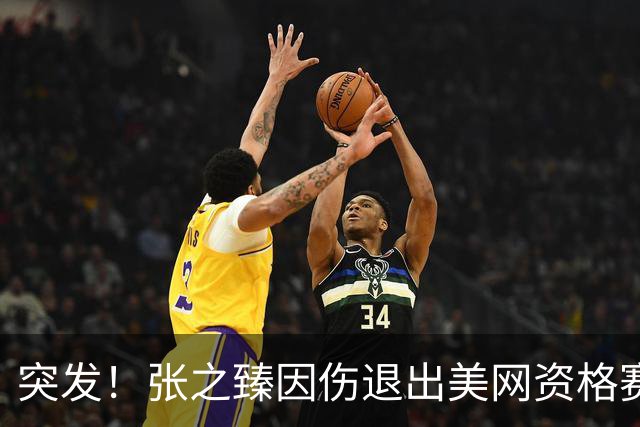 突发！张之臻因伤退出美网资格赛 今年四大满贯全未过首轮