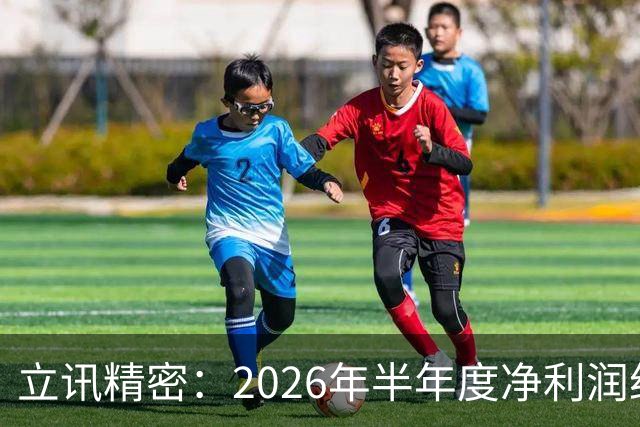 立讯精密：2026年半年度净利润约78.43亿元，同比增加18.04%