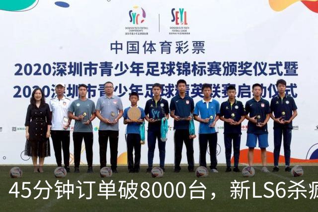 45分钟订单破8000台，新LS6杀疯了！
